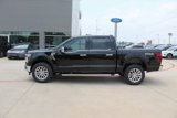 New 2025 Ford F150 Lariat w/ Equipment Group 501A Mid image 5