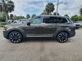 Used 2024 Kia Telluride SX image 4