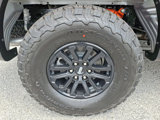 New 2025 Ford F150 Raptor image 5