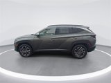 Used 2025 Hyundai Tucson Limited image 5