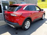 Used 2020 Ford Escape SE image 3