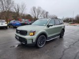 New 2025 Kia Telluride EX X-Line image 3
