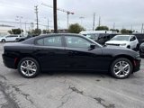 Used 2023 Dodge Charger SXT w/ Blacktop Special Edition image 2