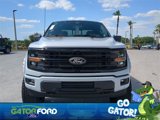 New 2025 Ford F150 XLT w/ Equipment Group 302A MID image 3