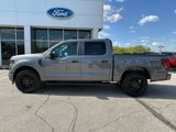 New 2025 Ford F150 STX w/ STX Black Appearance Package image 4