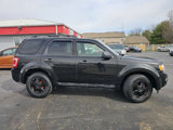 Used 2011 Ford Escape XLT w/ 202A Rapid Spec Order Code image 5