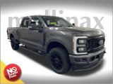 New 2025 Ford F250 Lariat image 1