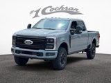 New 2025 Ford F250 Platinum image 3