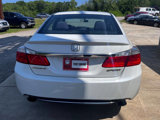 Used 2013 Honda Accord Sport image 4