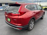 Used 2019 Honda CR-V EX-L image 5