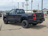 New 2025 Ford F350 XL image 4