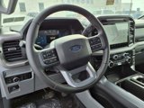 New 2025 Ford F150 XLT w/ Equipment Group 302A MID image 5