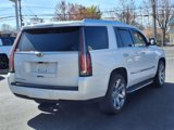 Used 2019 Cadillac Escalade Luxury image 5
