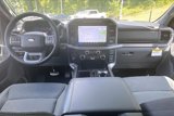 New 2025 Ford F150 XLT w/ Equipment Group 302A MID image 5