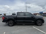 Used 2023 Ford F150 XLT w/ Equipment Group 302A High image 2