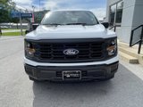 New 2025 Ford F150 XL image 6