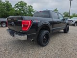 Used 2023 Ford F150 XLT image 5