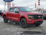New 2025 Ford F150 XLT w/ Equipment Group 302A MID image 2