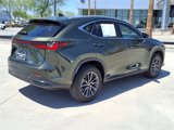 Used 2025 Lexus NX 350h AWD w/ Premium Package image 5