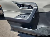 New 2025 Toyota RAV4 XLE Premium image 6