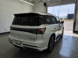 New 2025 INFINITI QX80 Luxe image 5
