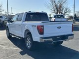 New 2025 Ford F150 XLT w/ Equipment Group 302A MID image 5
