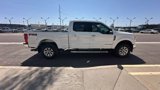 Used 2019 Ford F250 XLT w/ XLT Premium Package image 6