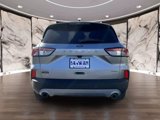 Used 2022 Ford Escape SEL image 5