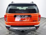 New 2026 Honda Passport TrailSport Elite image 5