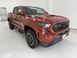 New 2025 Toyota Tacoma TRD Sport w/ TRD Sport Upgrade Package image 2
