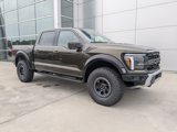 New 2025 Ford F150 Raptor image 2