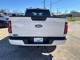 New 2025 Ford F150 STX w/ Equipment Group 200A image 5