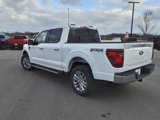New 2025 Ford F150 XLT w/ Equipment Group 302A MID image 5