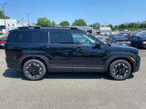 New 2025 Hyundai Santa Fe Calligraphy image 2