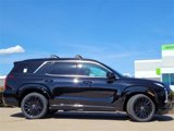 New 2025 Hyundai Palisade Calligraphy image 4