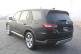 New 2025 Honda Pilot EX-L image 3