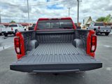 New 2025 GMC Sierra 1500 Elevation w/ Elevation Premium Package image 4