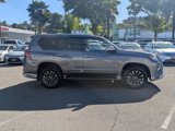 Used 2019 Lexus GX 460 image 4