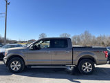 Used 2020 Ford F150 XLT w/ Equipment Group 302A Luxury image 3