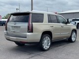 Used 2016 Cadillac Escalade Platinum image 5