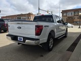 New 2025 Ford F150 XLT w/ Equipment Group 302A MID image 6