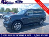 New 2025 Ford Expedition Active image 1