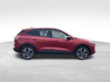Used 2022 Ford Escape SE w/ SE Sport Appearance Package image 6