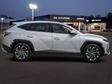 New 2025 Hyundai Tucson Limited image 5