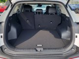 New 2026 Kia Sportage EX image 4