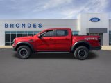 Used 2024 Ford Ranger Raptor image 1