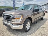 Used 2022 Ford F150 XLT w/ Equipment Group 301A Mid image 3