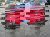 New 2024 Ford Mustang Premium image 4