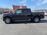 Used 2019 Ford F150 XLT w/ Equipment Group 302A Luxury image 4