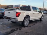 New 2025 Ford F150 XLT w/ Equipment Group 303A High image 5